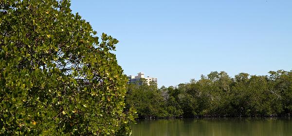 Gulf Harbor, Florida, United States