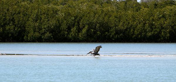Estero Blvd, Bonita Springs, Florida, United States