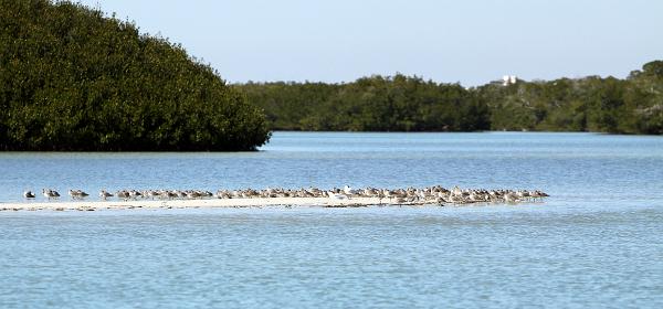 Estero Blvd, Bonita Springs, Florida, United States
