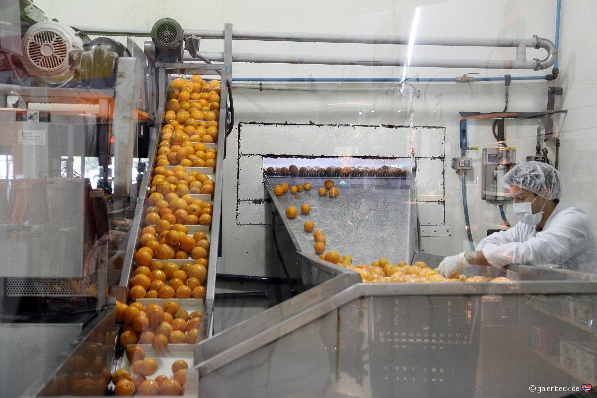 Sun Harvest Citrus Fort Myers