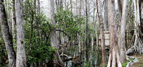 Tamiami Trl, Trailtown, Florida, United States