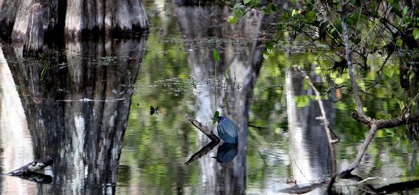 Loop Rd, Trailtown, Florida, United States