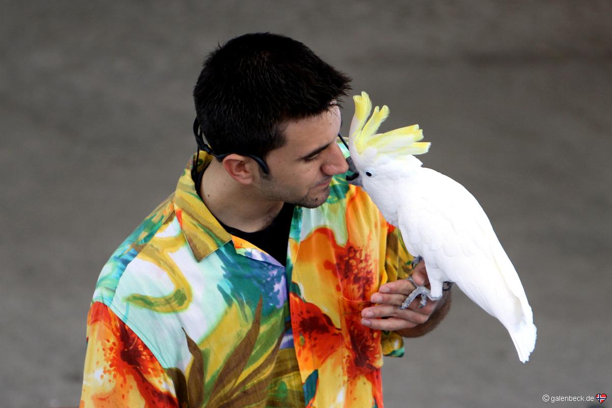 Parrot Jungle Island
