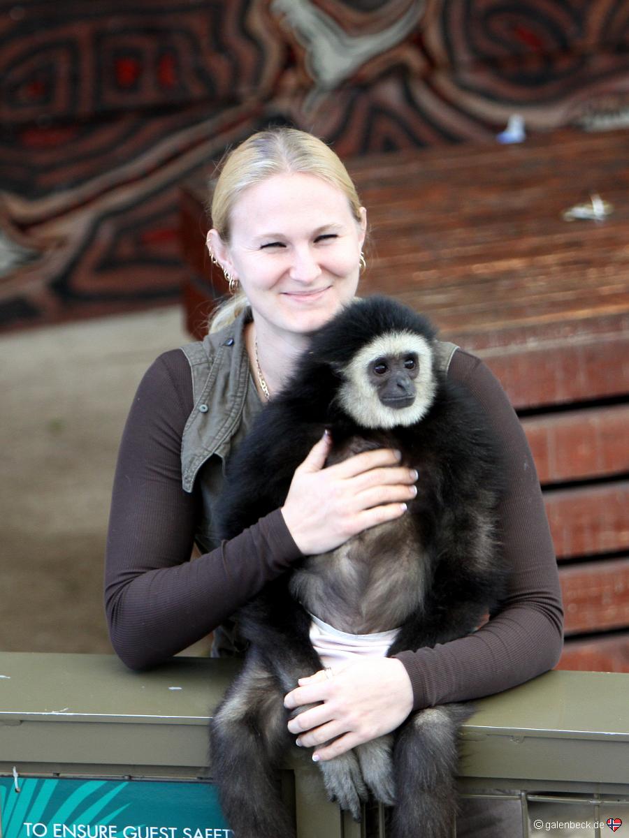 Parrot Jungle Island