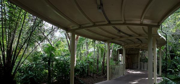Parrot Jungle Island 03