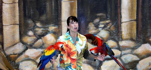 Parrot Jungle Island 15