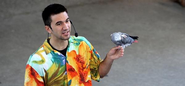 Parrot Jungle Island 16