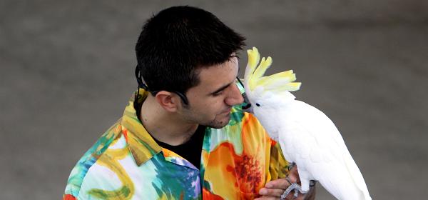 Parrot Jungle Island 20