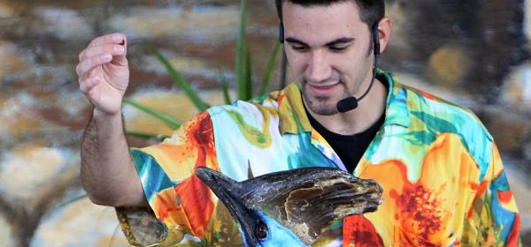 Parrot Jungle Island 21