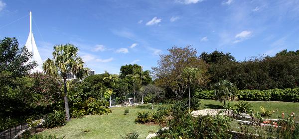 Parrot Jungle Island 61