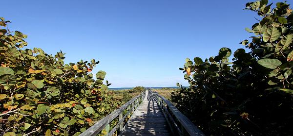 Bill Baggs Cape Florida State Park 34