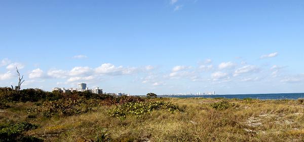Bill Baggs Cape Florida State Park 35