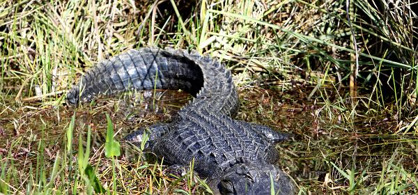 Ingraham Hwy, Homestead, Florida, United States