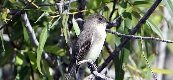 Ingraham Hwy, Homestead, Florida, United States
