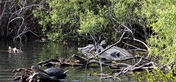 Ingraham Hwy, Homestead, Florida, United States