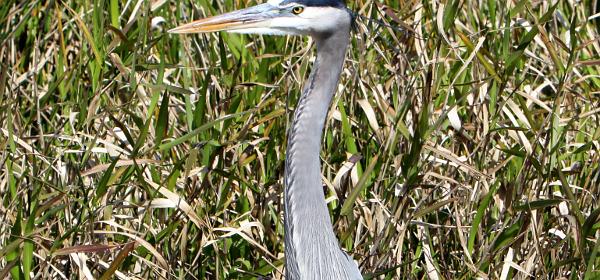 Ingraham Hwy, Homestead, Florida, United States