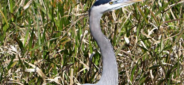 Ingraham Hwy, Homestead, Florida, United States