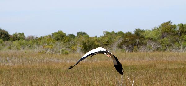 Ingraham Hwy, Homestead, Florida, United States