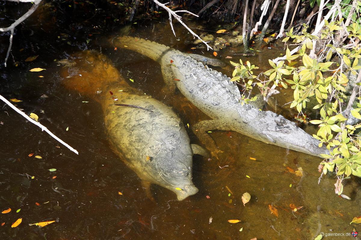 Everglades National Park