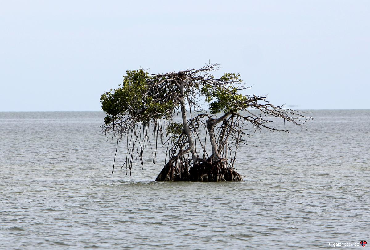 Everglades National Park