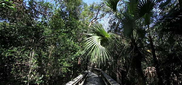 Homestead, Florida, United States