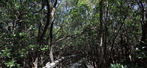 Main Park Rd, Flamingo, Florida, United States
