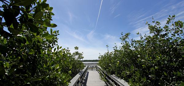 Main Park Rd, Flamingo, Florida, United States