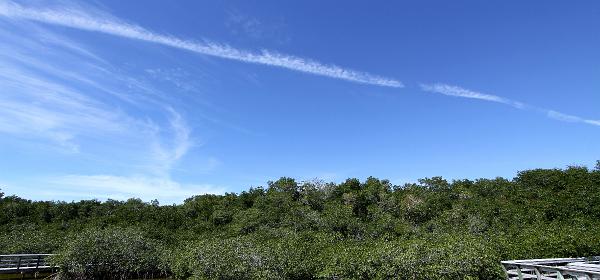 Main Park Rd, Flamingo, Florida, United States