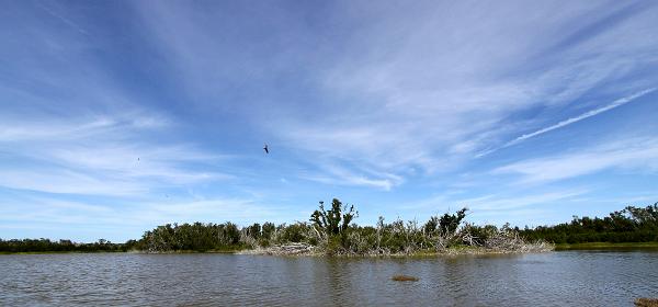 Flamingo Lodge Hwy, Flamingo, Florida, United States