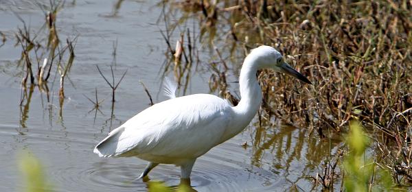 Flamingo Lodge Hwy, Flamingo, Florida, United States