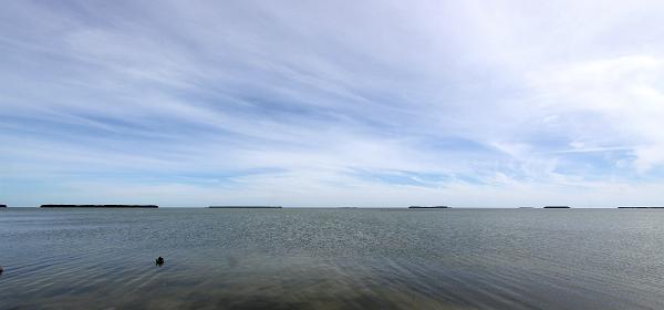 Flamingo Lodge Hwy, Flamingo, Florida, United States