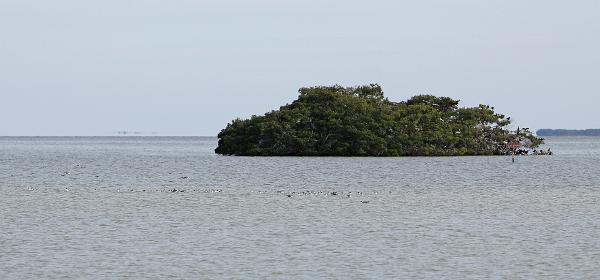 Flamingo, Florida, United States