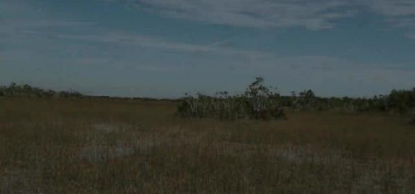 everglades national park