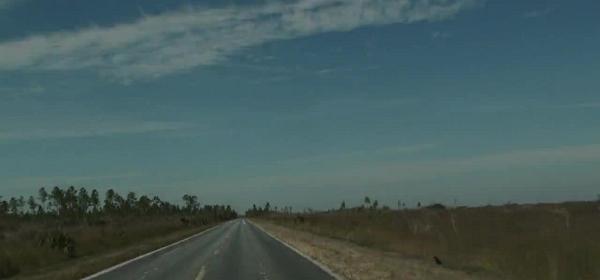 everglades national park road to flamingo