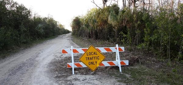 Big Cypress National Preserve Loop Road