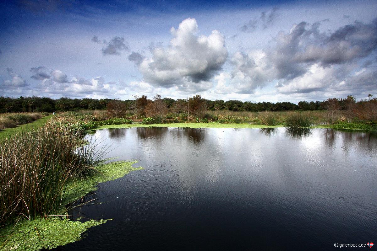 Green Cay Wetlands