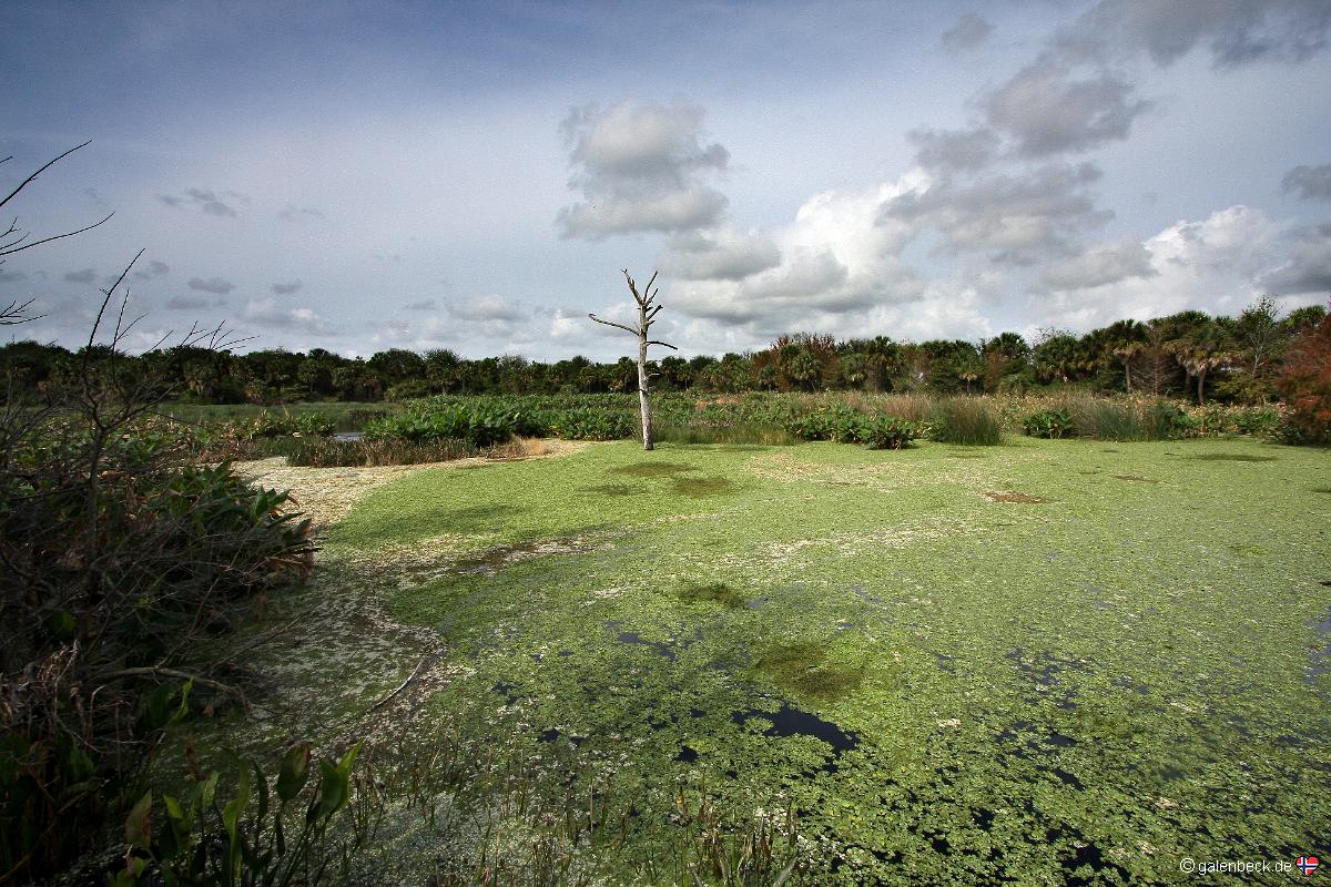 Green Cay Wetlands