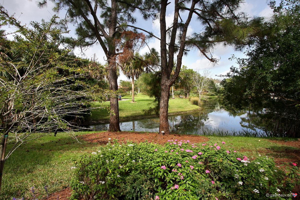 Mounts Botanical Garden