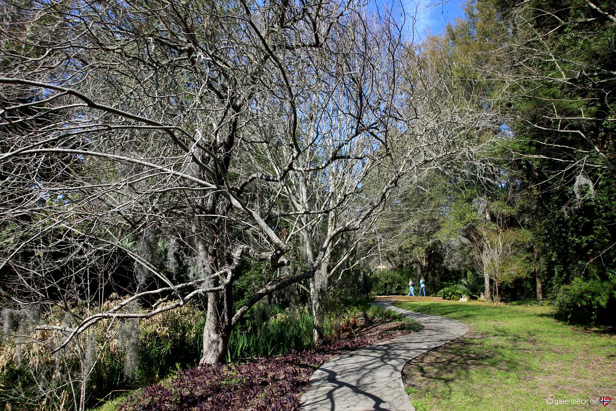 Kanapaha Botanical Gardens