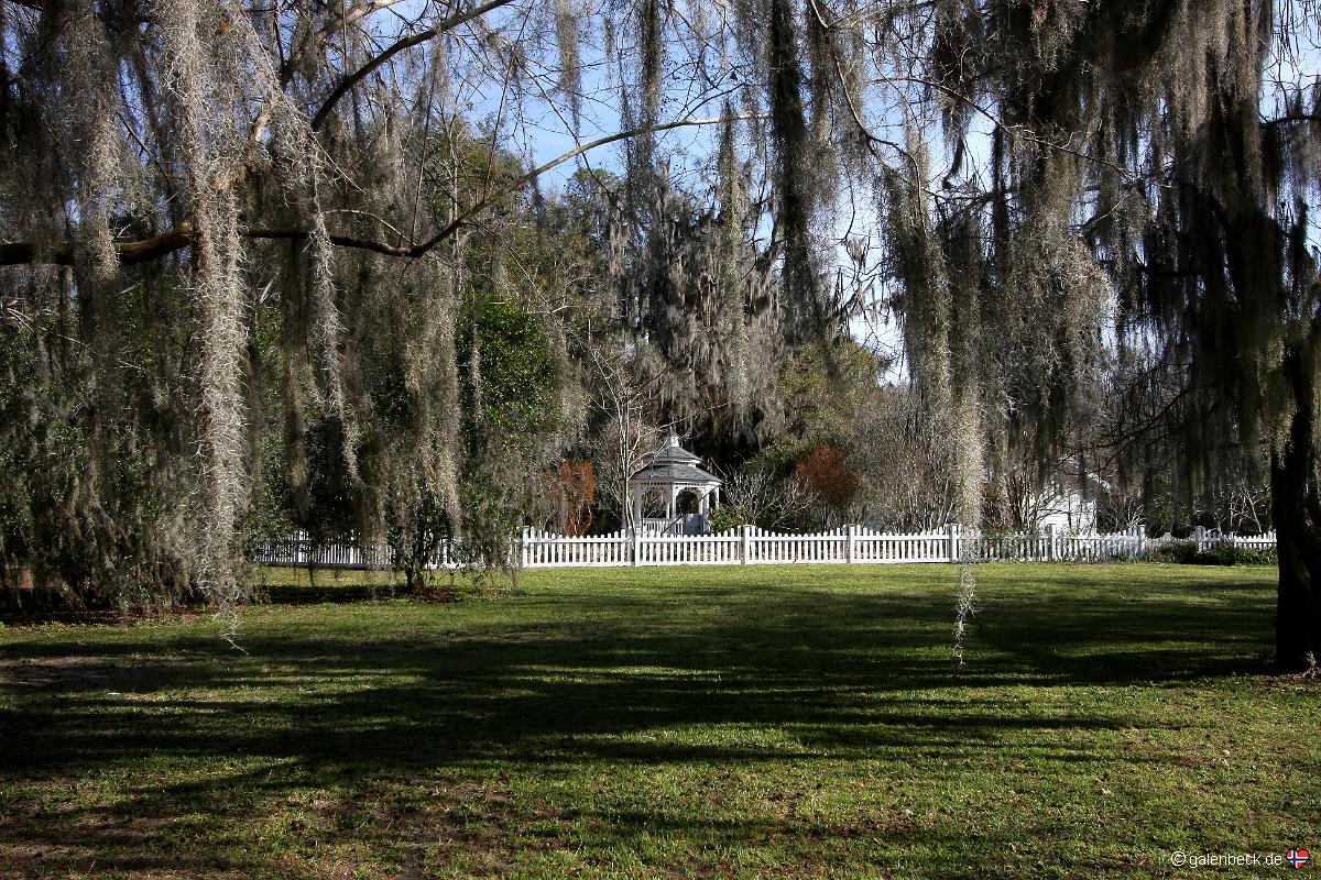 Kanapaha Botanical Gardens