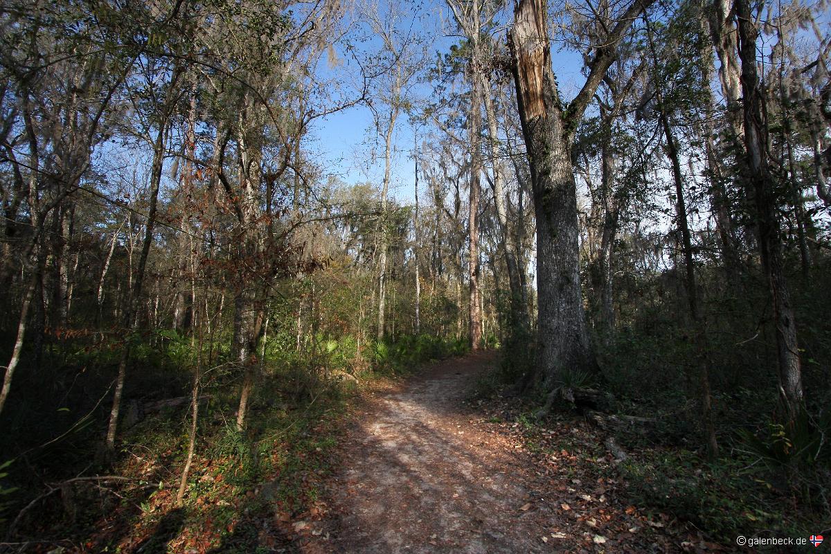 Devils Millhopper Geological State Park