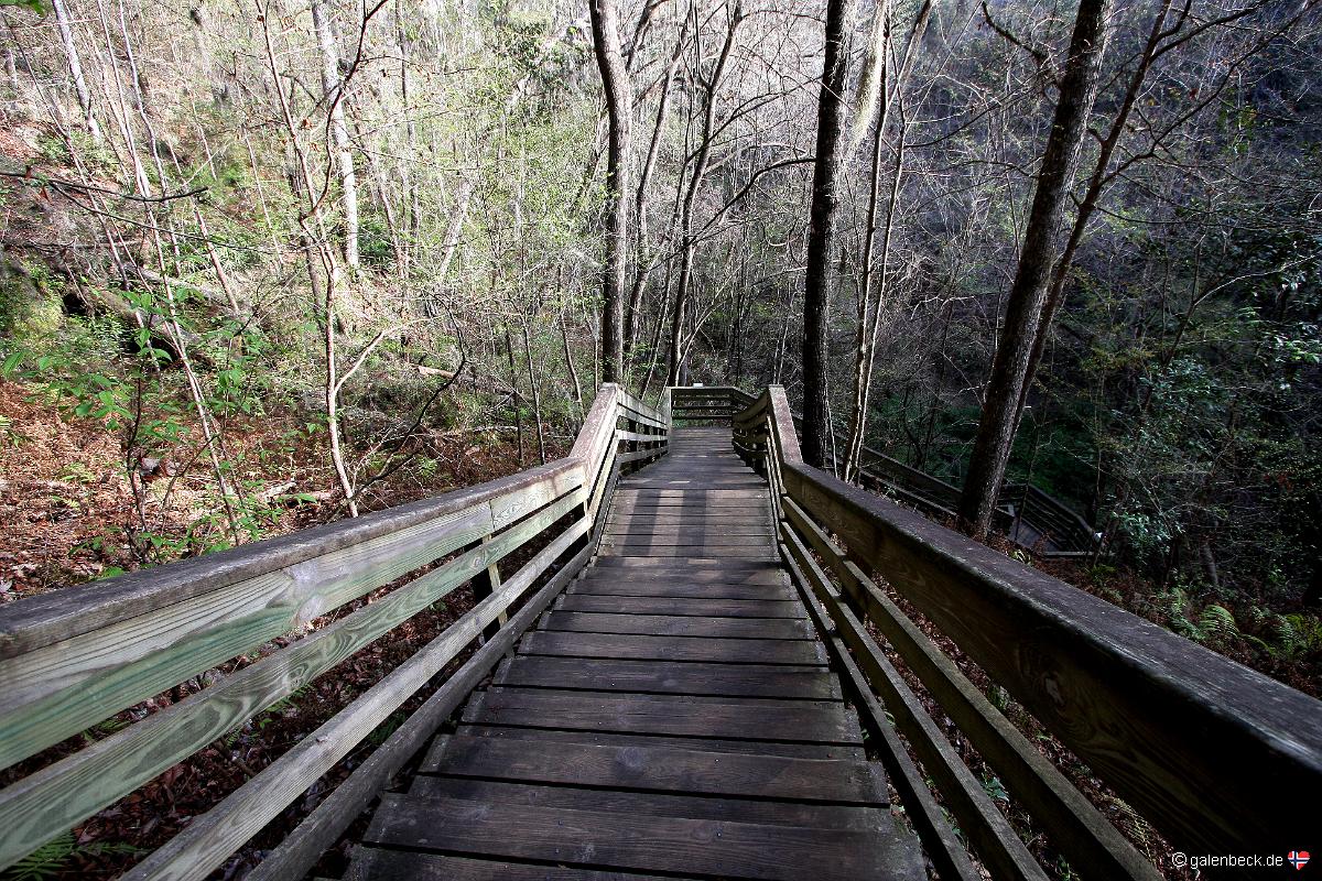 Devils Millhopper Geological State Park