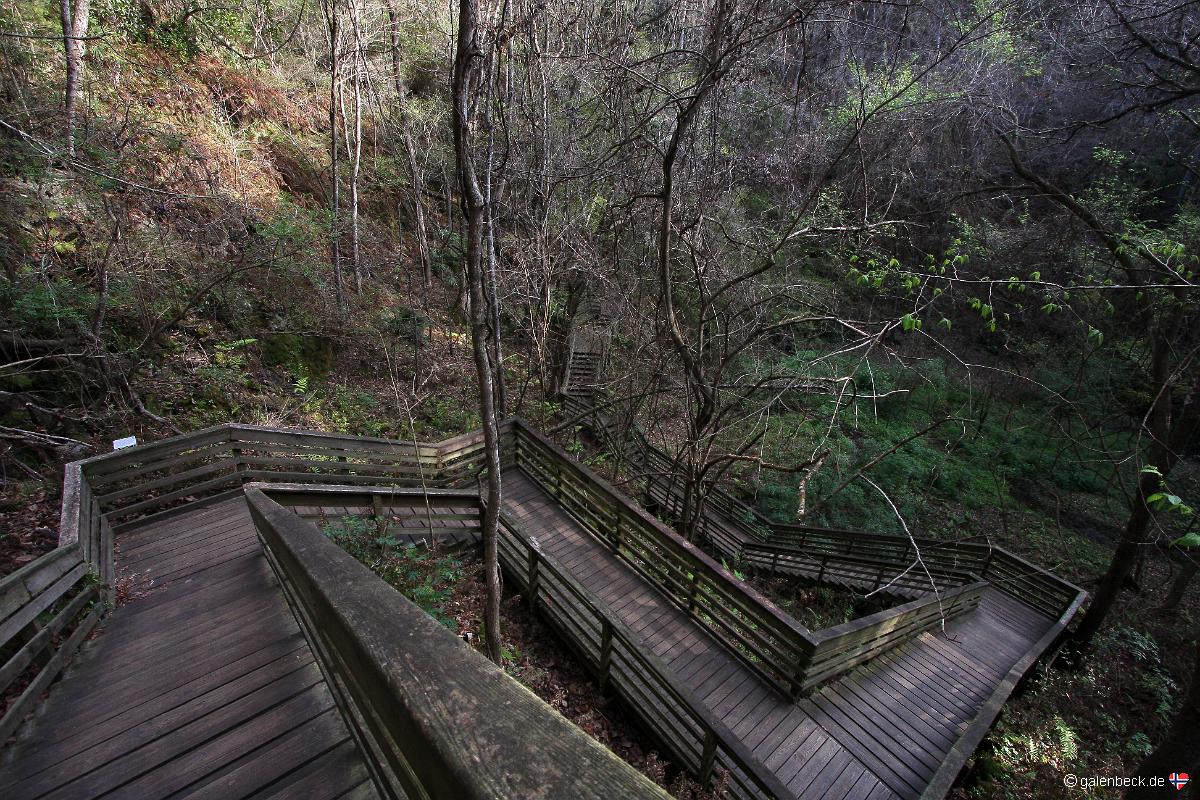 Devils Millhopper Geological State Park