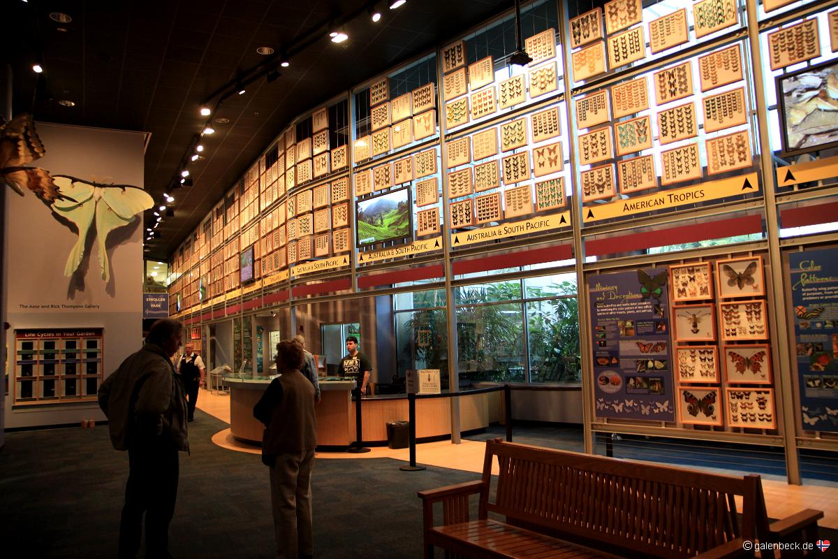 Butterfly Rainforest