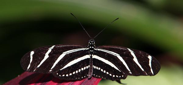 82