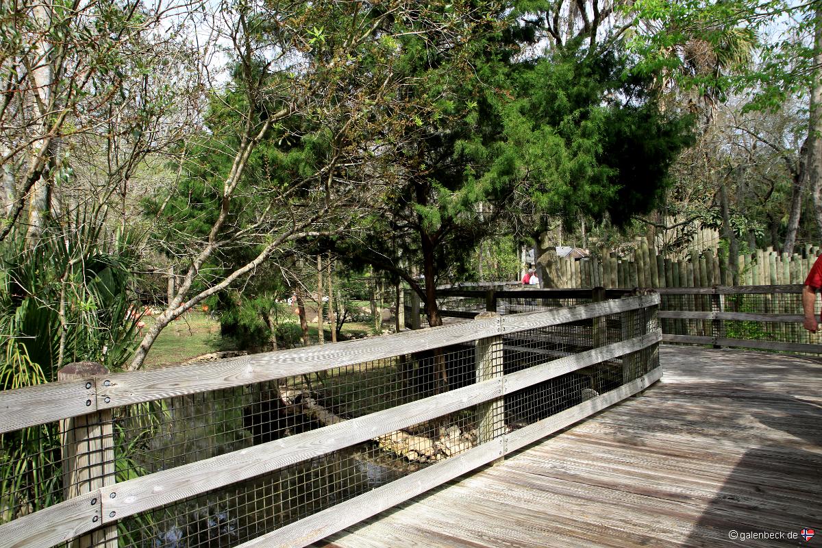 Homosassa Springs Wildlife State Park