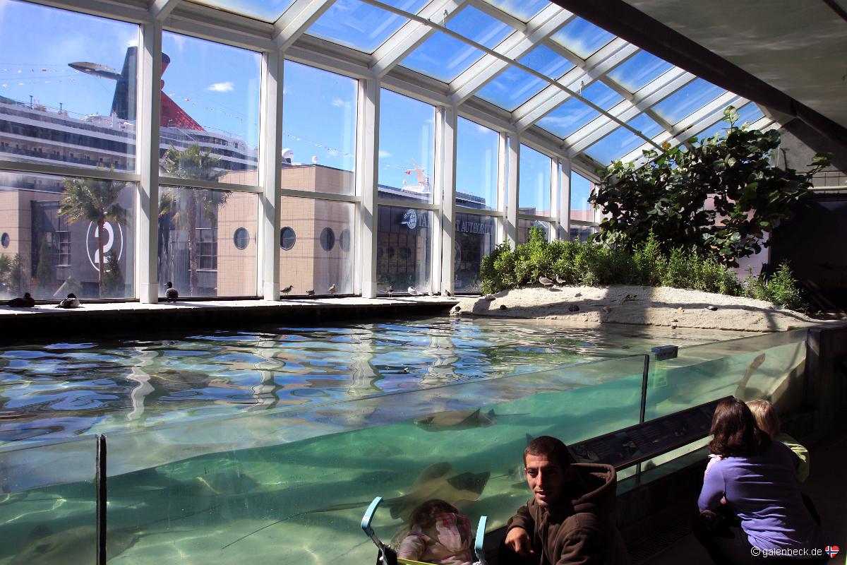 Florida Aquarium Tampa