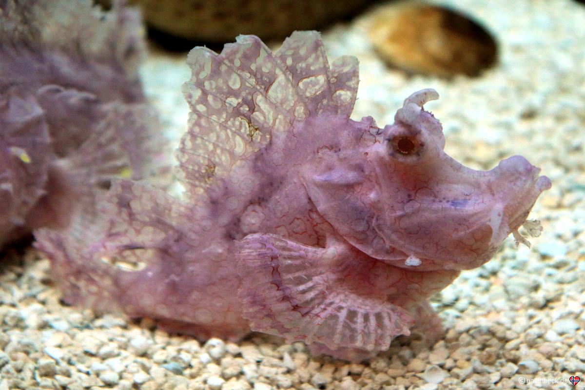 Florida Aquarium Tampa
