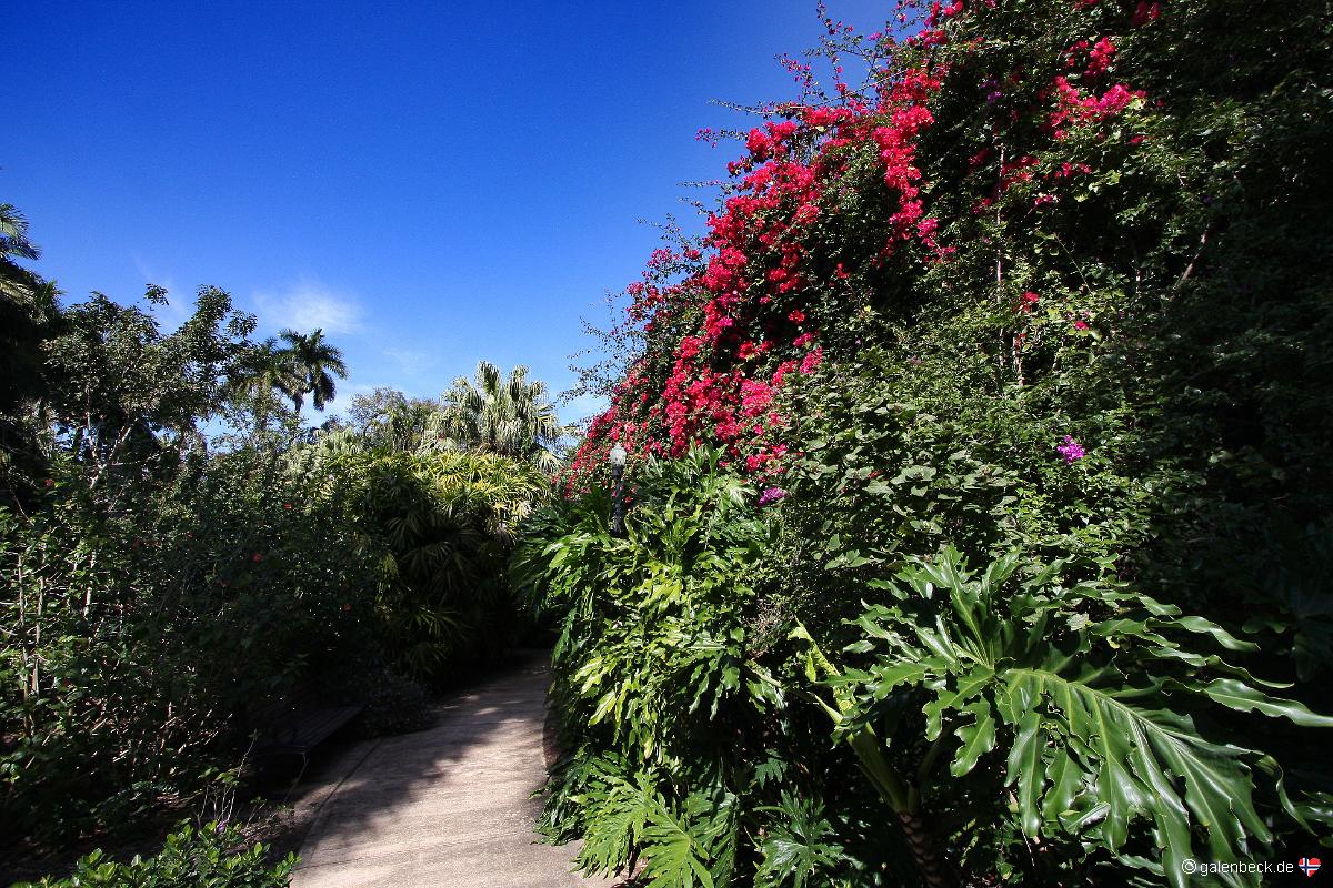 Sunken Gardens