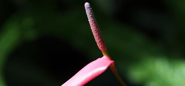 026